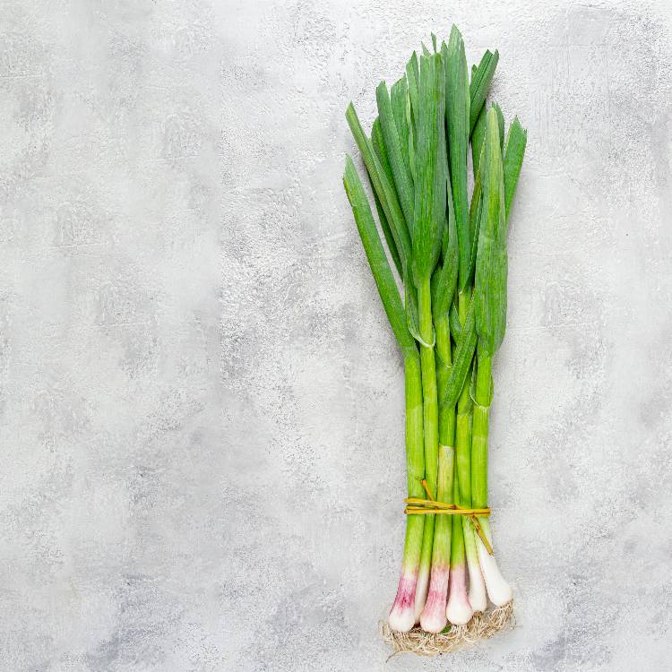 Oignons verts