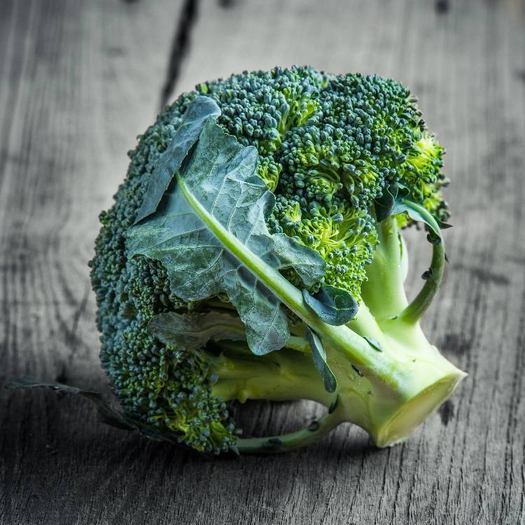 Brocoli