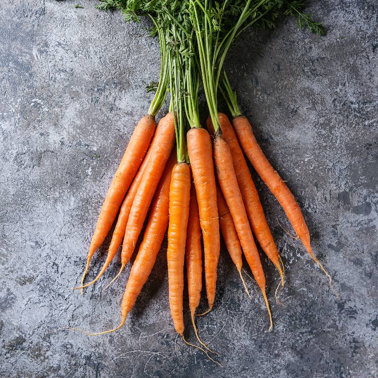 Carottes