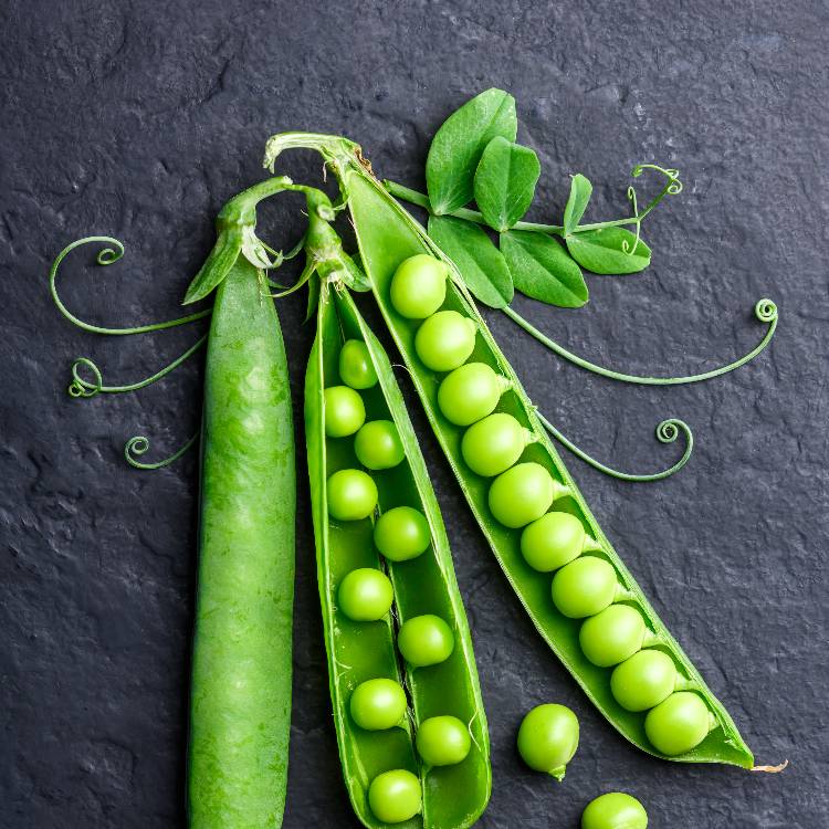 Pois mange-tout