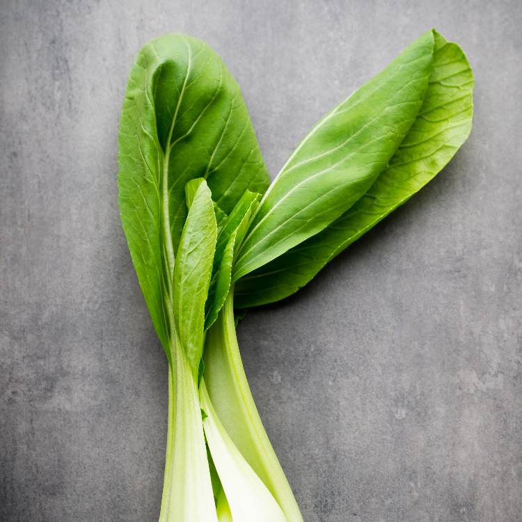Bok choy