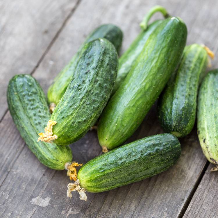 Cornichons