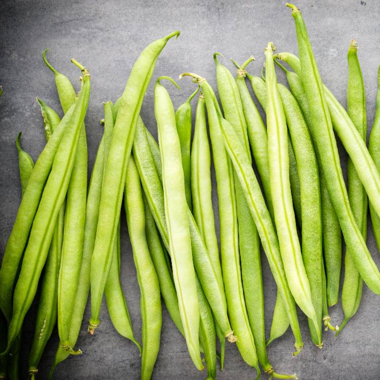 Haricots