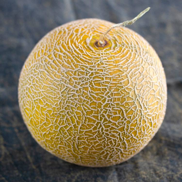 Melon